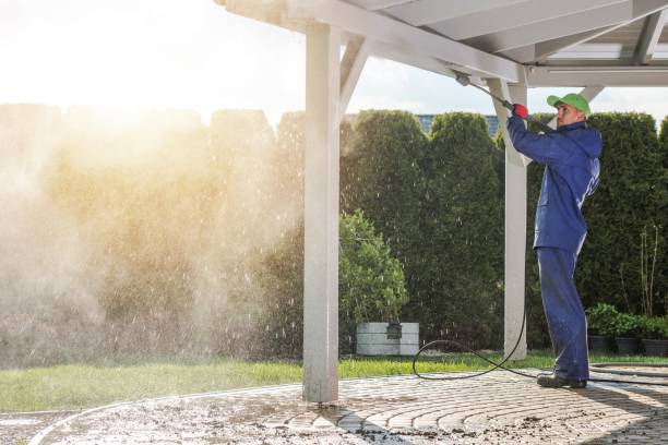 Best Sidewalk and Walkway Cleaning  in Dexter, MI