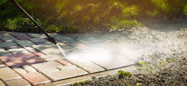 Best Rust Removal  in Dexter, MI