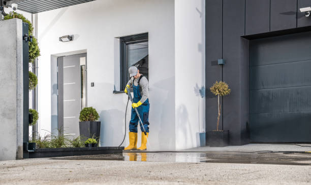 Best Soft Washing  in Dexter, MI